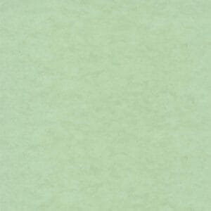 Шпалери Caselio Beton 2 101487270