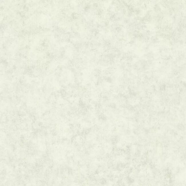 Шпалери Caselio Beton 2 101497140