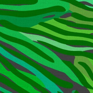 Шпалери Sirpi MISSONI  5 10577