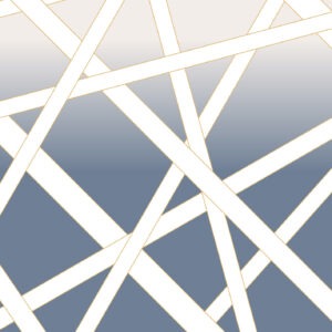 Шпалери Sirpi MISSONI  5 10581