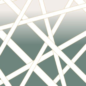Шпалери Sirpi MISSONI  5 10582