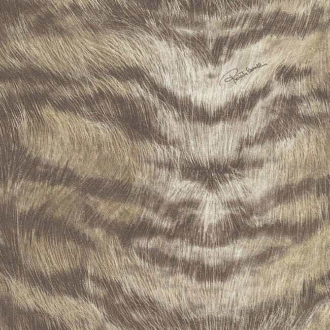 Шпалери Roberto Cavalli Roberto Cavalli 2 13028