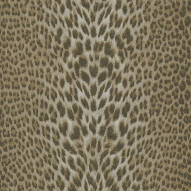 Шпалери Roberto Cavalli Roberto Cavalli №7 18026