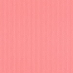 Шпалери Rasch Petite Fleur 5 288505