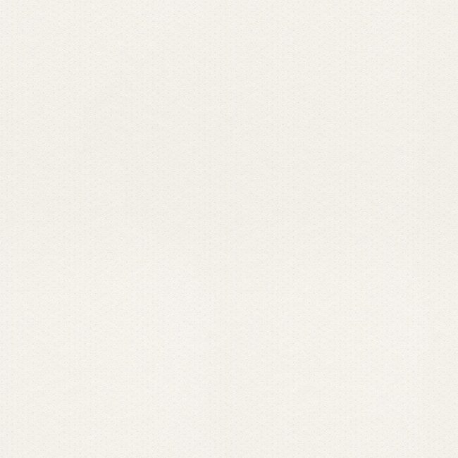 Шпалери Rasch Petite Fleur 5 288840