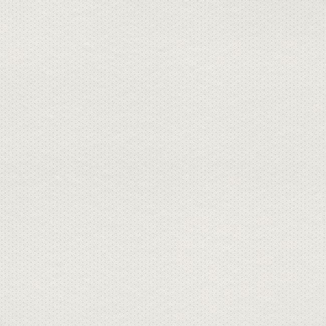Шпалери Rasch Petite Fleur 5 288970