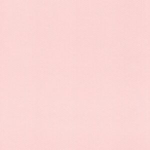 Шпалери Rasch Petite Fleur 5 289021