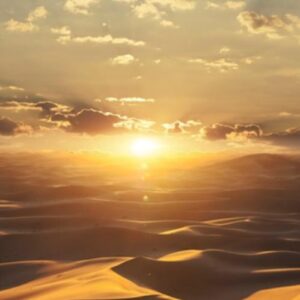 Шпалери Marburg Dune 32545