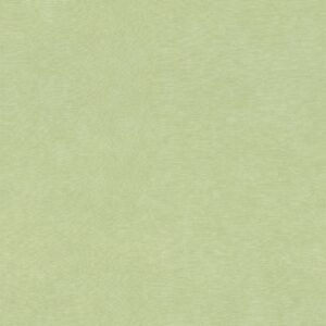 Шпалери Rasch Paraiso 330052