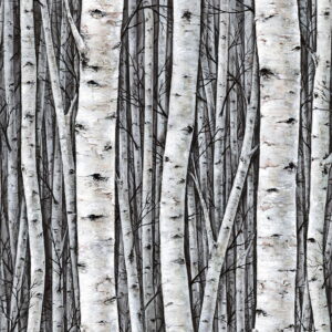 Шпалери Marburg Timber 35397