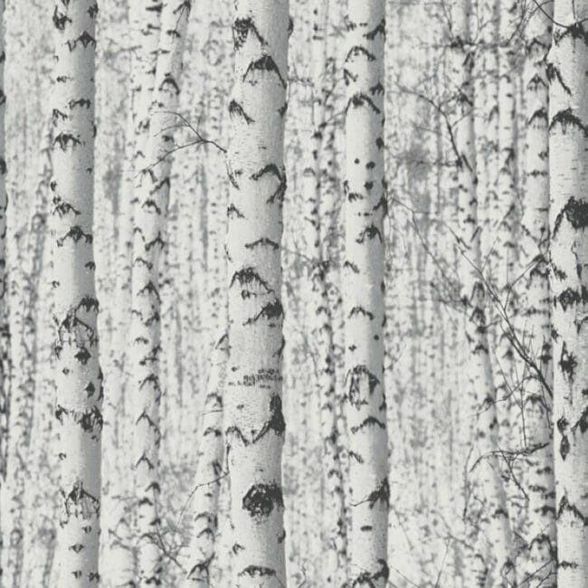 Шпалери AS Creation Pint Walls 38719-1