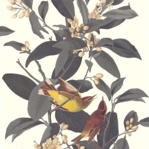 Шпалери Lutece Retro Vintage 51175509