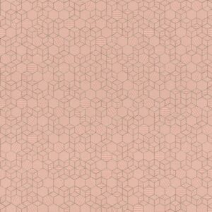 Шпалери Rasch Highlands 550344
