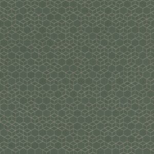 Шпалери Rasch Highlands 550351