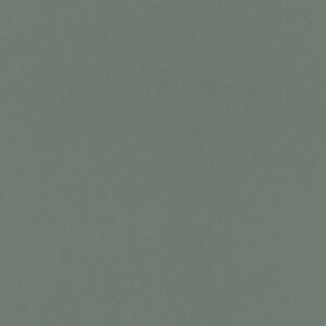 Шпалери Rasch Salisbury 552751