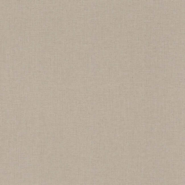 Шпалери Rasch BARBARA Home Collection III 560091