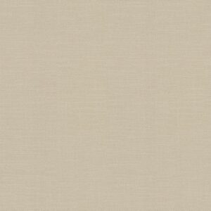 Шпалери Rasch Kalahari 700459