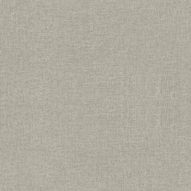 Шпалери Decori & Decori Zen 72925