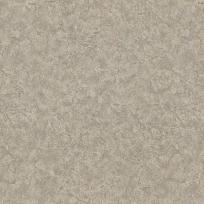Шпалери Decori & Decori Zen 72973