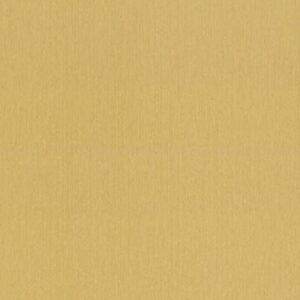 Шпалери Rasch Barbara XL 800586
