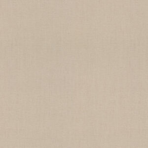 Шпалери Rasch Florentine XL 820041