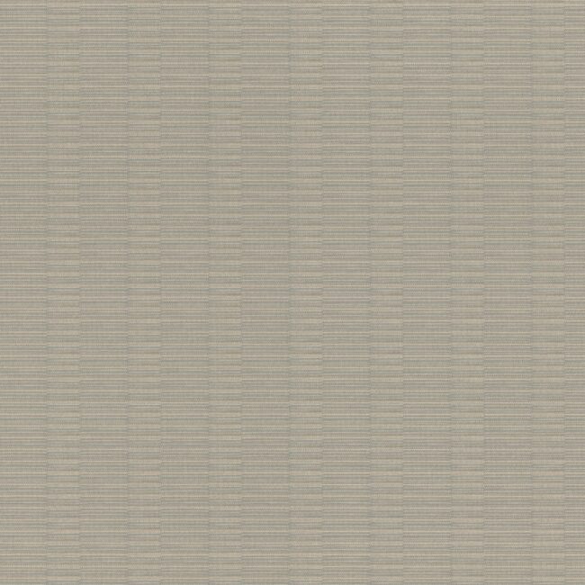 Шпалери Rasch Axiom 960938