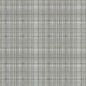 Шпалери York Ashford Toiles AB2048