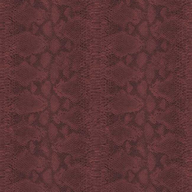 Шпалери KT Exclusive Carl Robinson 17 CR80401