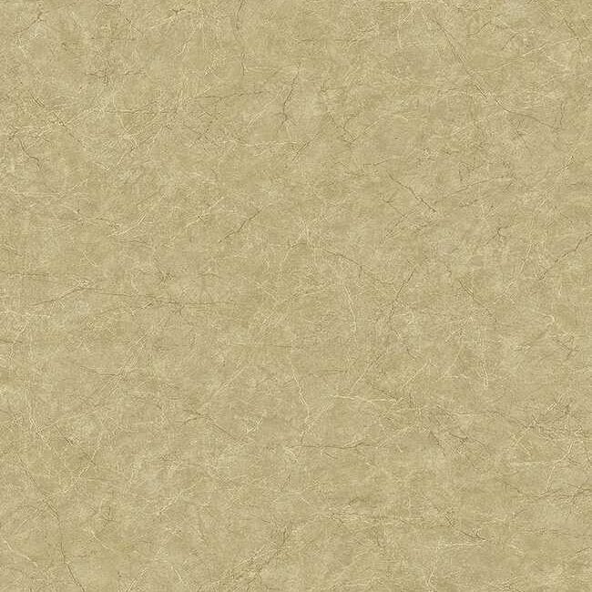 Шпалери KT Exclusive Carl Robinson 17 CR81215