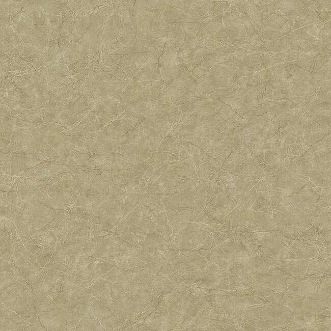 Шпалери KT Exclusive Carl Robinson 17 CR81217