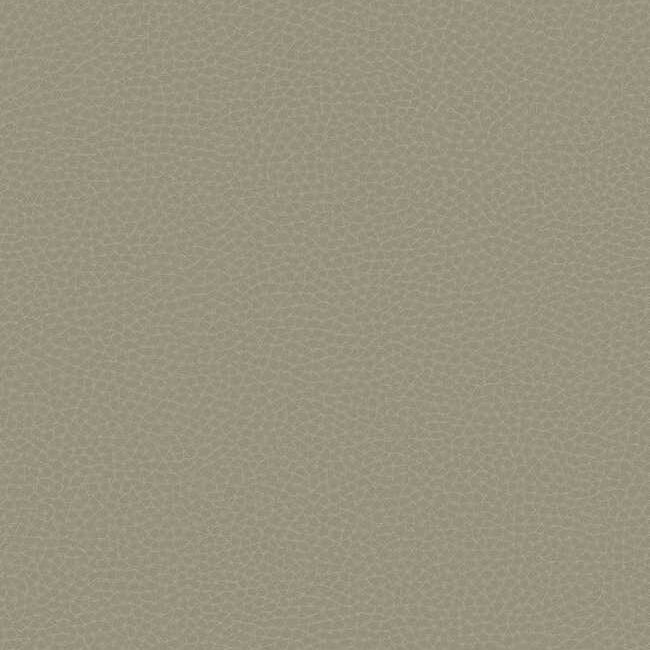 Шпалери KT Exclusive Carl Robinson 17 CR83006