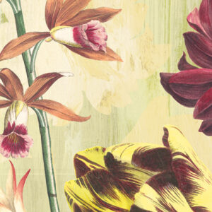 Шпалери Khroma Wall Designs 2 DG2ELI1021 — 1023