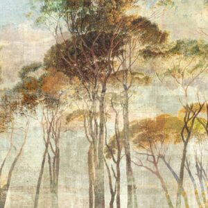 Шпалери Khroma Wall Designs 2 DG2HYM1021 — 1023