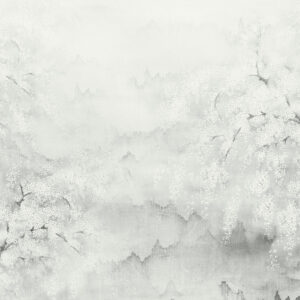 Шпалери Khroma Wall Designs 2 DG2ISA1011 — 1013