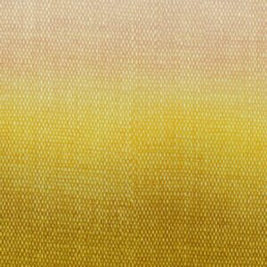 Шпалери Khroma Wall Designs 2 DG2SHA102