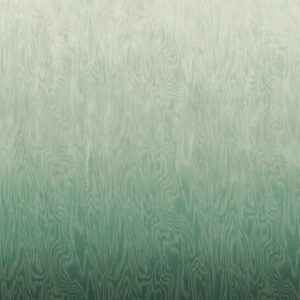 Шпалери Khroma Wall Designs IV DG4MOI1021-1023