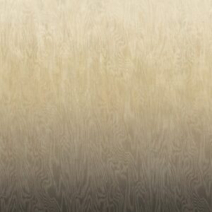 Шпалери Khroma Wall Designs IV DG4MOI1051-1053