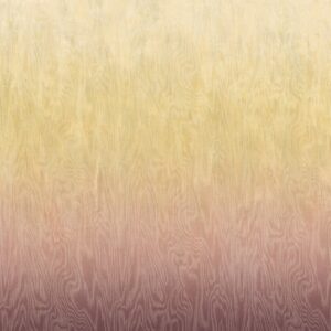 Шпалери Khroma Wall Designs IV DG4MOI1061-1063