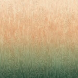 Шпалери Khroma Wall Designs IV DG4MOI1081-1083