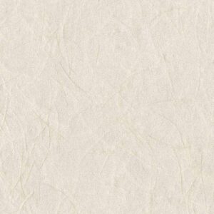 Шпалери Omexco Shades of Pale SOP3101