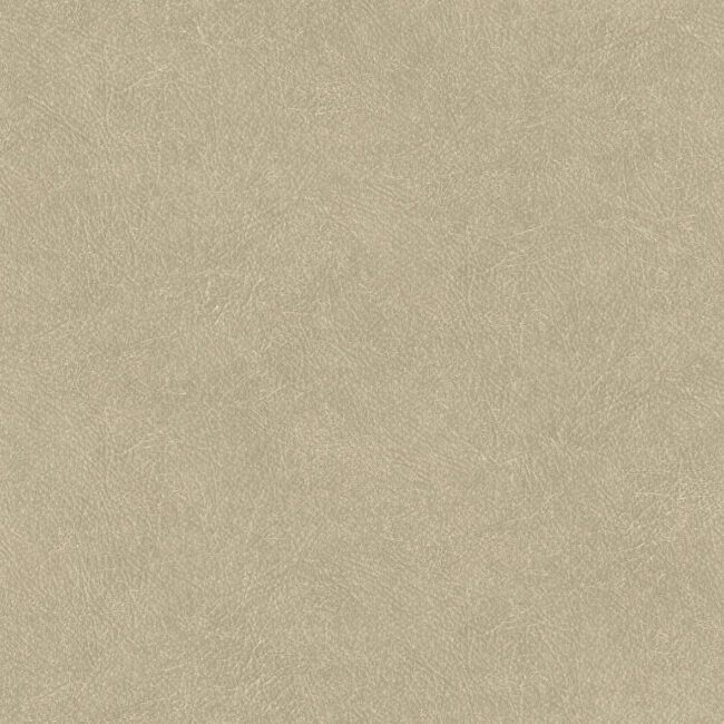 Шпалери Decoprint Tahiti TA25021