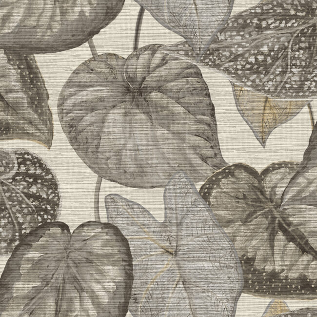 Шпалери Decoprint Tahiti TA25050