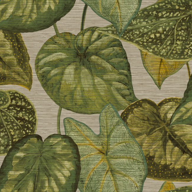 Шпалери Decoprint Tahiti TA25052