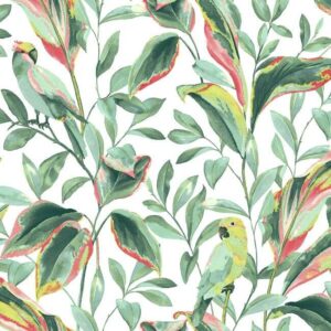 Шпалери York Tropics Resource Library TC2653