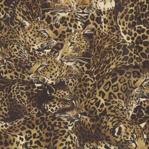 Шпалери Emiliana Dolce&Gabbana Casa TCW007TCAHOUL022