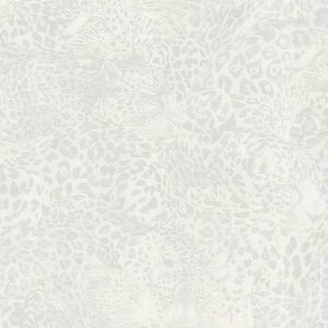 Шпалери Emiliana Dolce&Gabbana Casa TCW007TCAHOUL041
