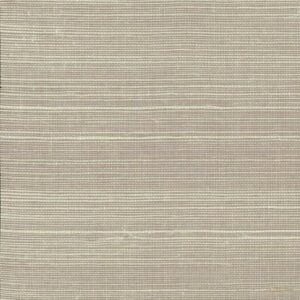 Шпалери York Tropics Resource Library VG4406